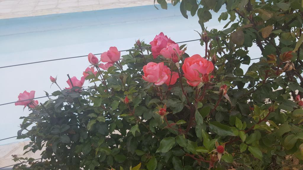 Отель Finca Los Almendros Тунуян Экстерьер фото
