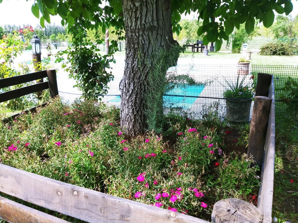 Отель Finca Los Almendros Тунуян Экстерьер фото